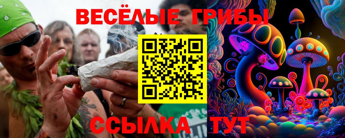Псилоцибиновые грибы MAGIC MUSHROOMS Вольск