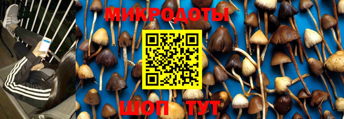 Вольск  Галлюциногенные грибы Magic Shrooms  Вход с VPN 